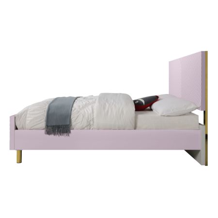 Gaines Youth Bedframes BD02660F Pink By Acme Furniture