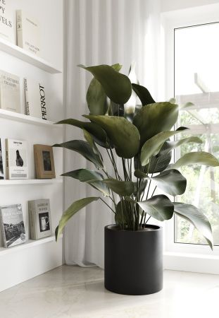 Modrest Hedley - Modern Black Concrete Planter