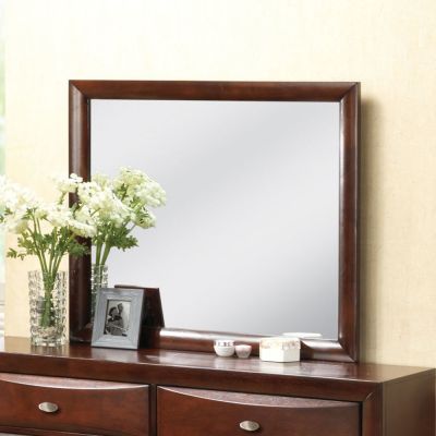 Ireland Mirror 21454 Espresso By Acme Furniture