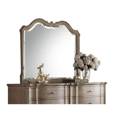 Chelmsford Mirror 26054 Taupe By Acme Furniture