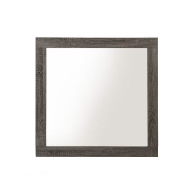 Avantika Mirror 27674 Gray By Acme Furniture