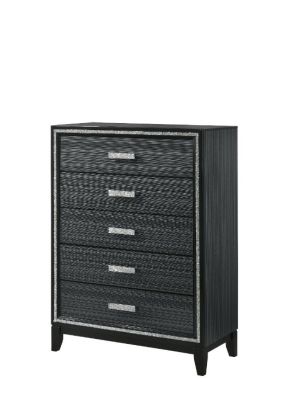 Haiden Chest 28436 Black By Acme Furniture