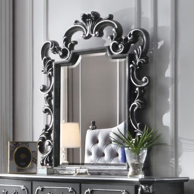 House Delphine Mirror 28834 Charcoal By Acme Furniture