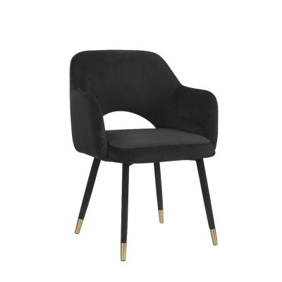 Applewood Accent Chair 59854 Black By Acme Furniture