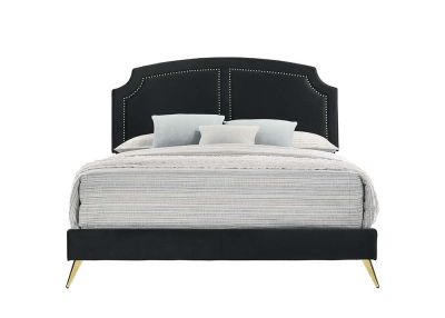 Zeena Bed Frames BD01176Q Black By Acme Furniture