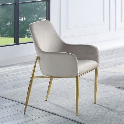 Barnard Side Chair DN00220 Gray By Acme Furniture